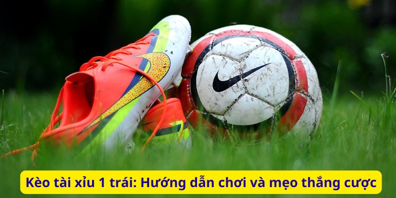 Kèo tài xỉu 1 trái: Hướng dẫn chơi và mẹo thắng cược